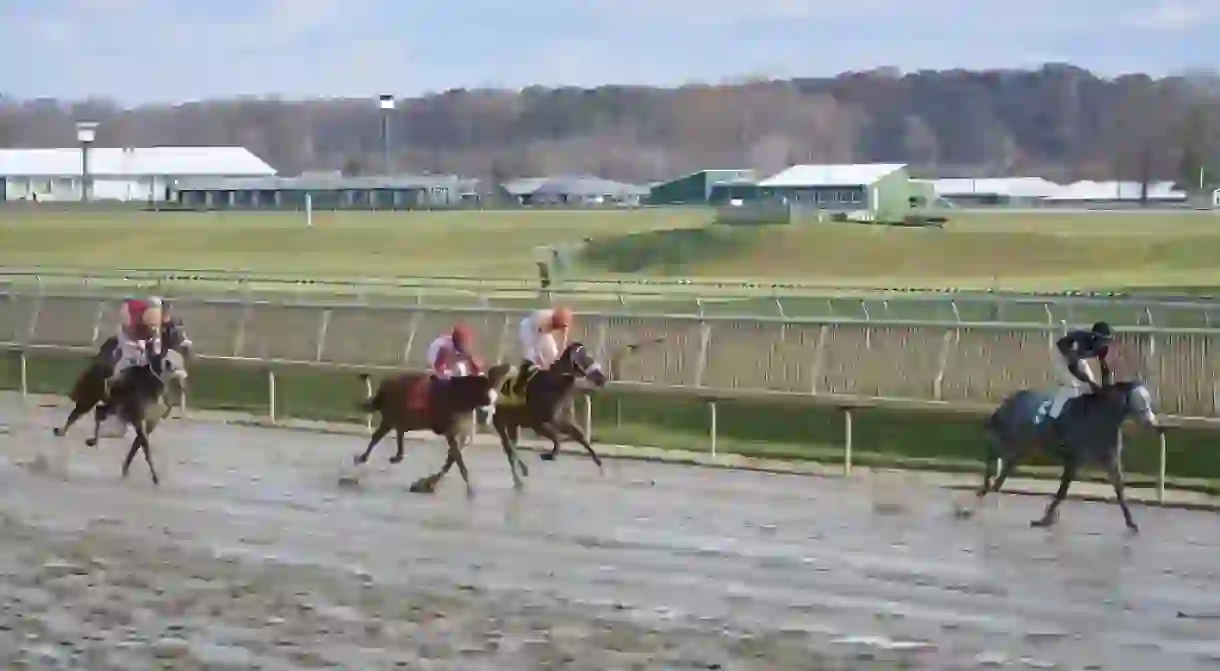 Horse Racing at Laurel Park