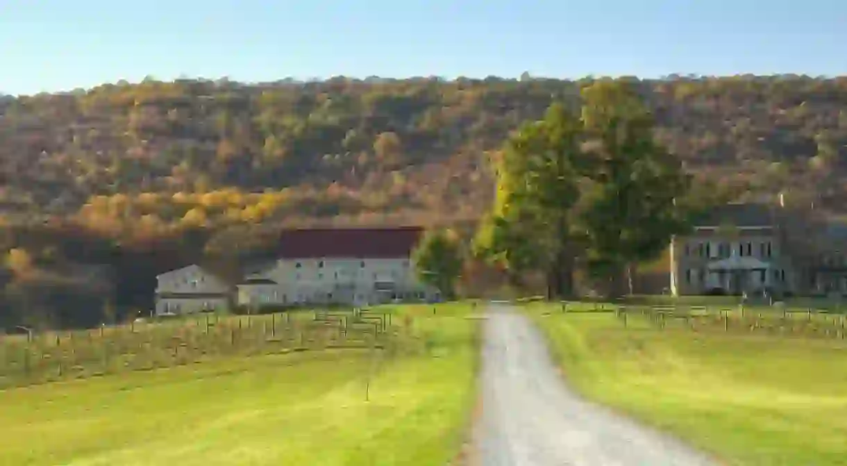 A Maryland winery