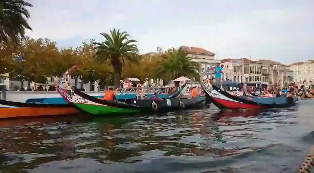 Moliceiros in Aveiro