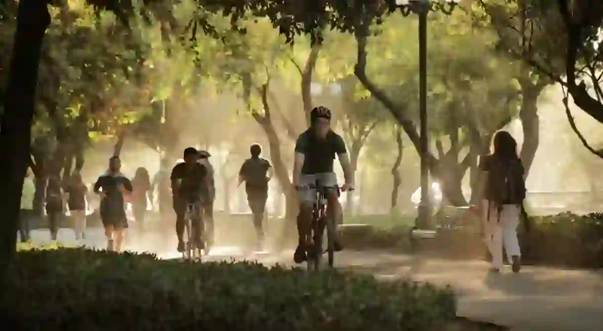 Biking in Parque Forestal