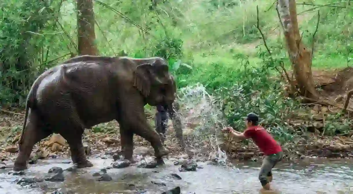 There are swathes of eco-experiences to be had in Cambodia