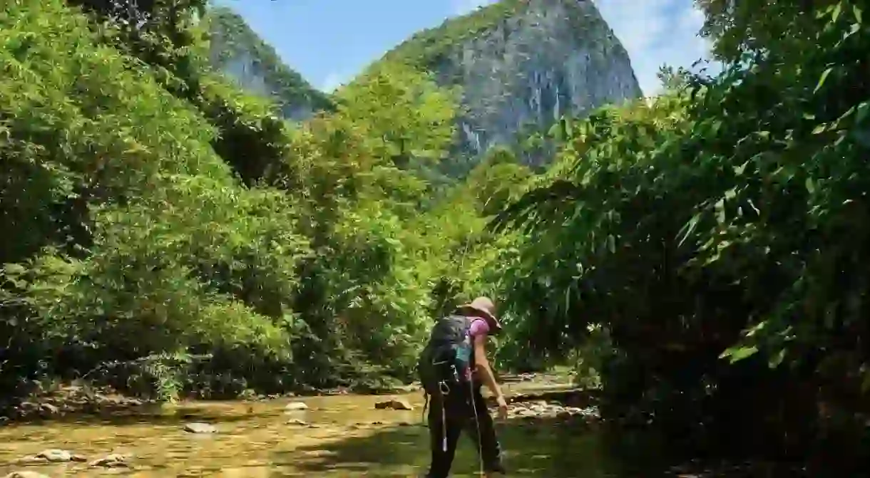 There are endless hiking and trekking opportunities in Borneo