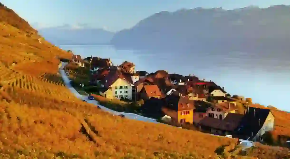 Vineyard terraces, Lavaux wine region