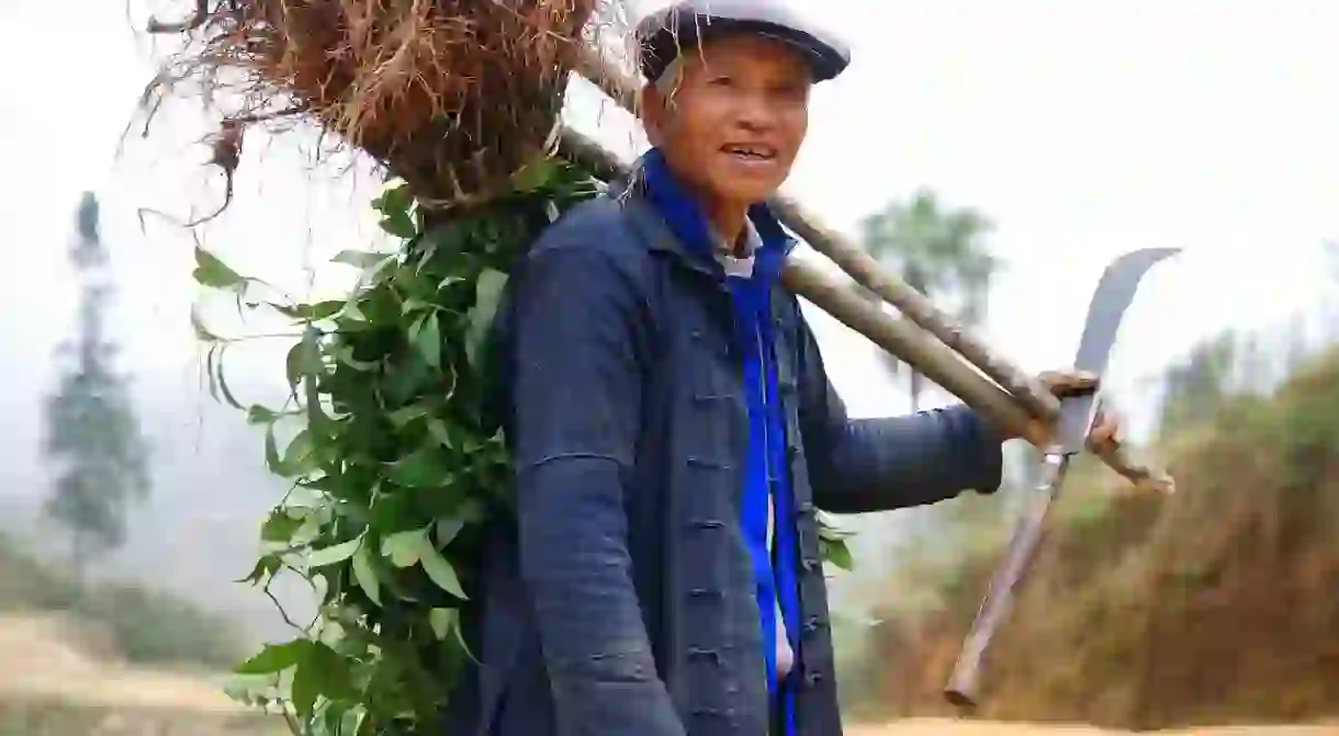 Hani Farmer