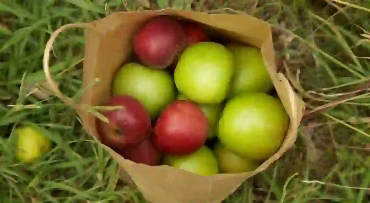 All kinds of apples.