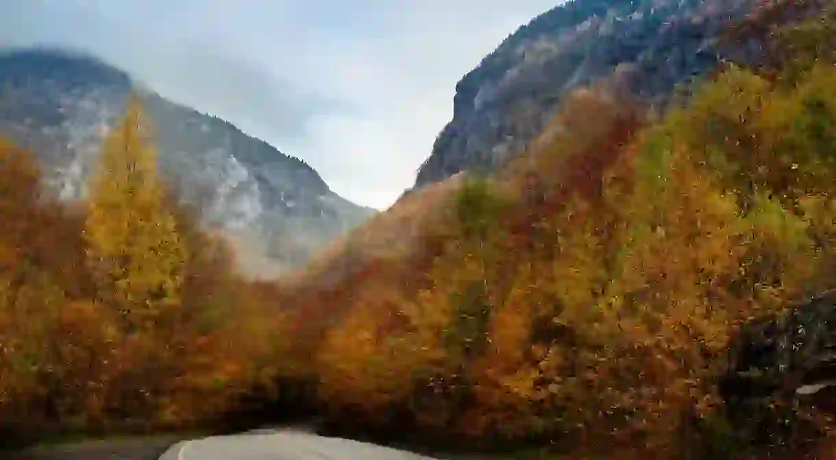 Smugglers Notch Foliage