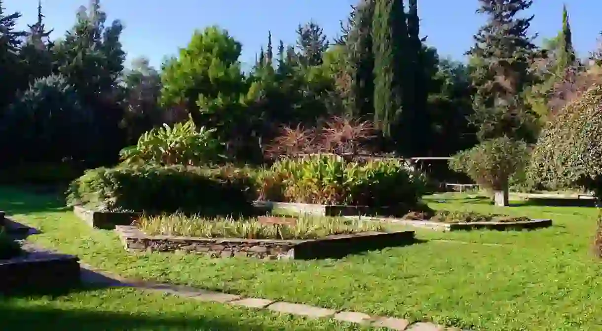 The Julia & Alexander N. Diomedes Botanical Garden in Haidari is one of Athens best-kept secrets