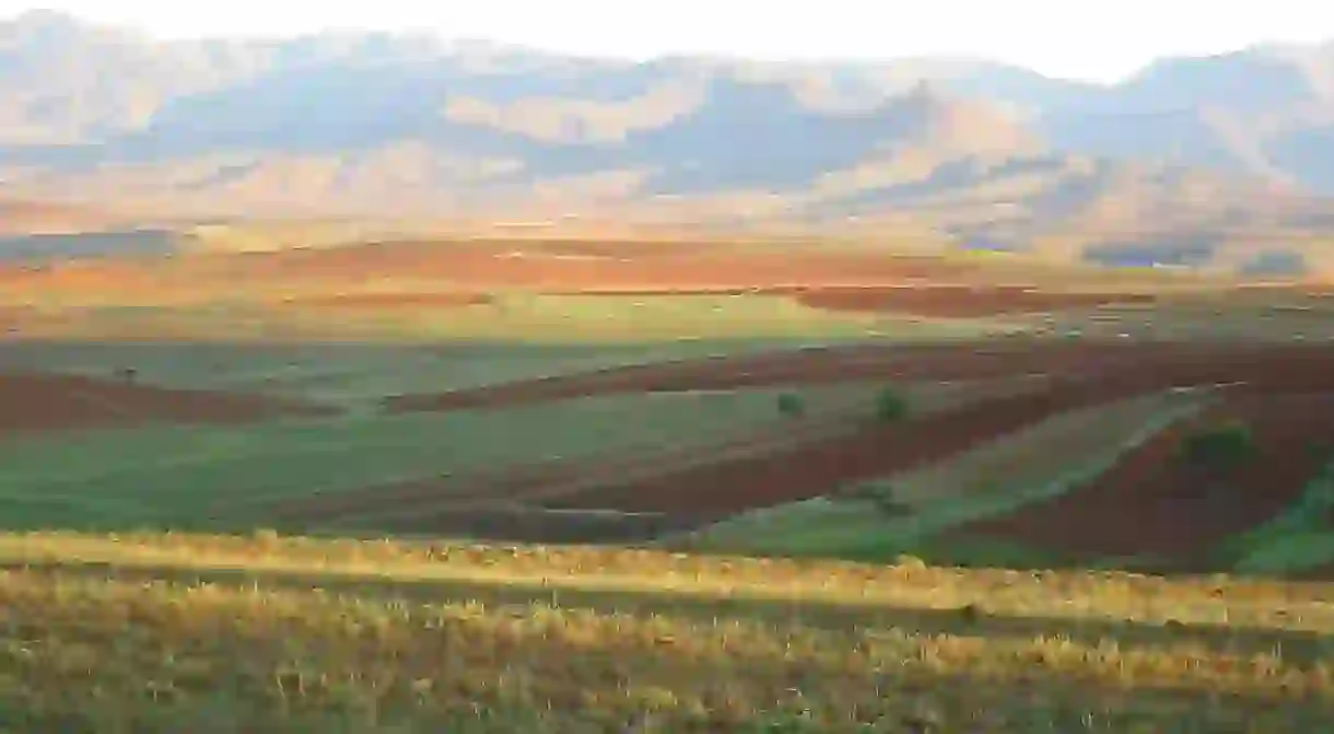 Agricultural fields in Lesotho