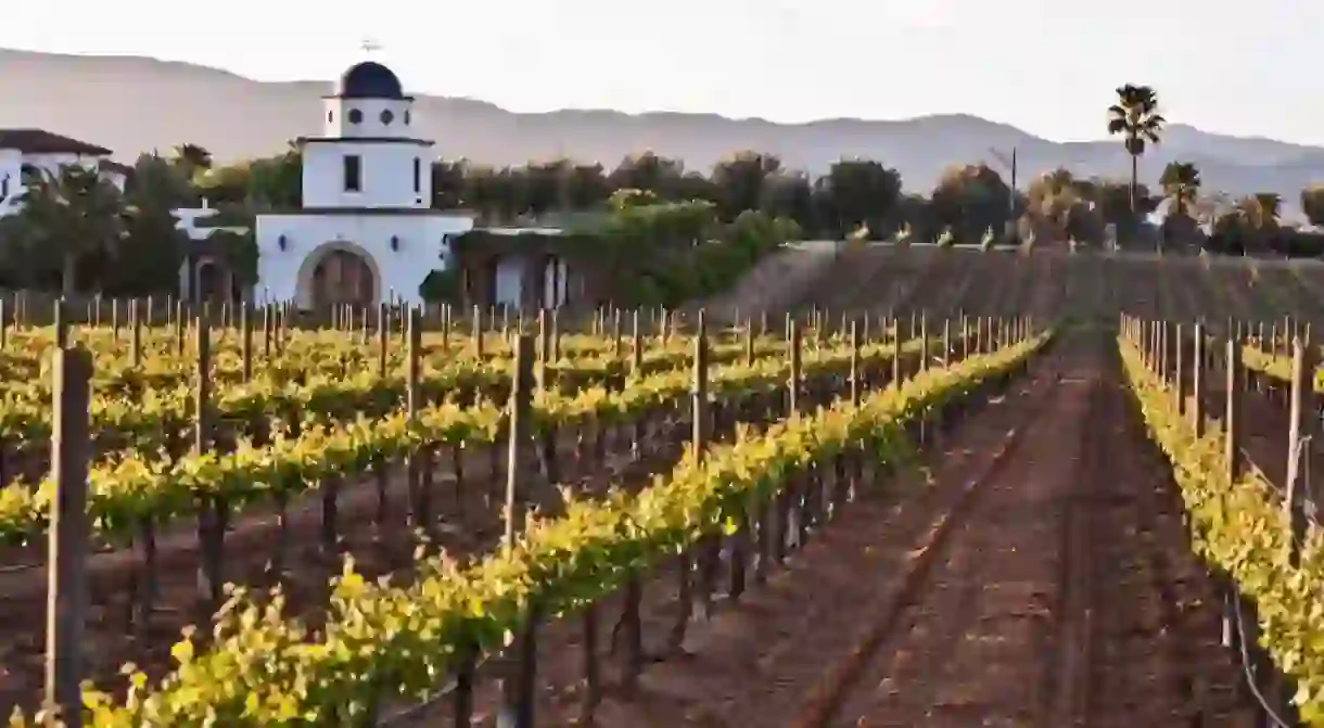 Sleep on a working vineyard at Adobe Guadalupe 