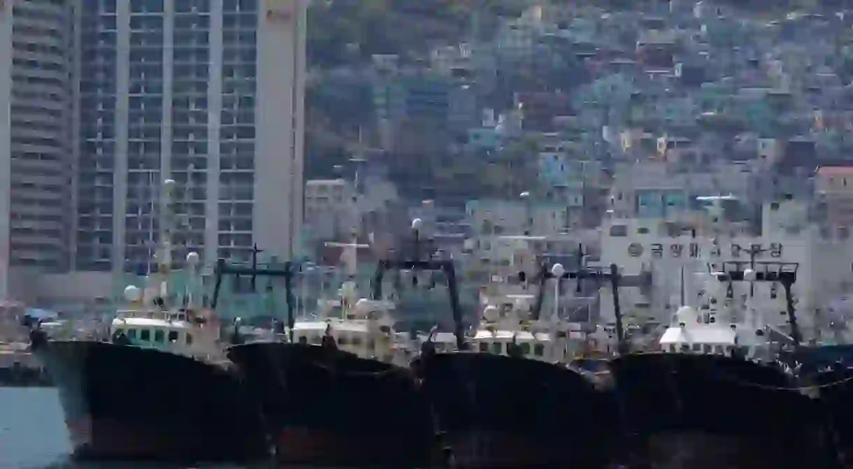 Fishing boats in Busan Harbour, South Korea