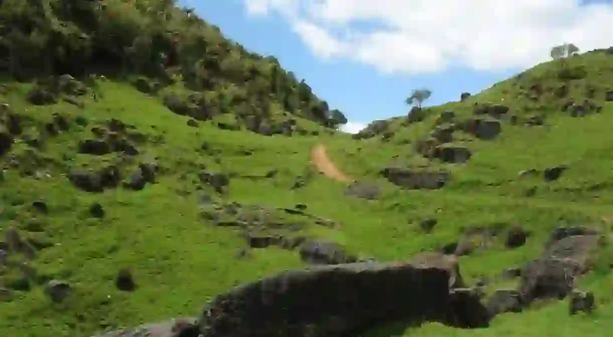 Waitomo, New Zealand landscape