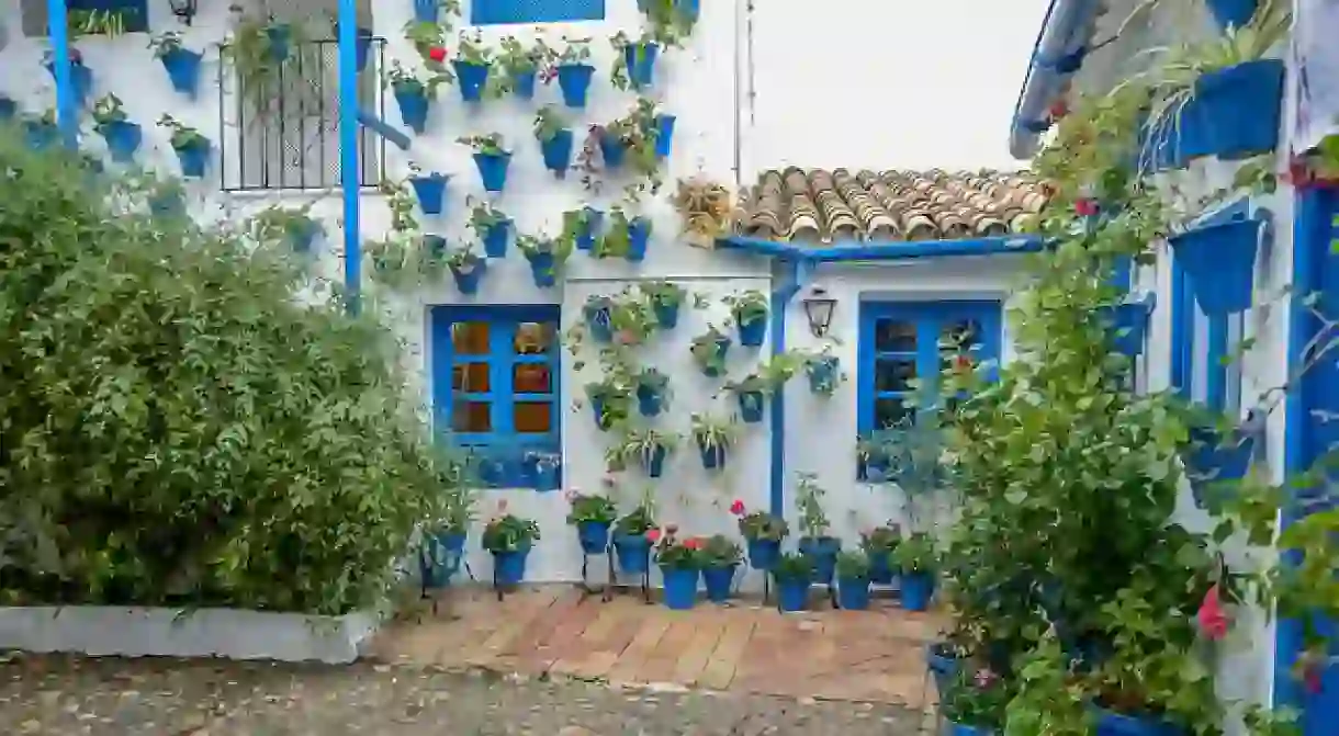 A typical Córdoban courtyard during the citys charming patios festival