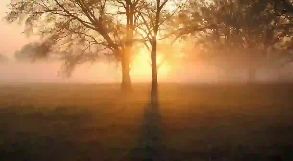 Early Mississippi morning