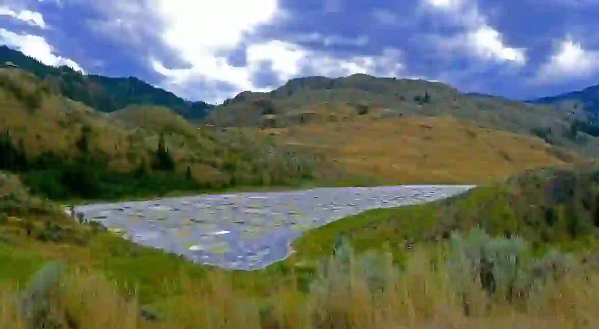 Spotted Lake, near Osoyoos, British Columbia