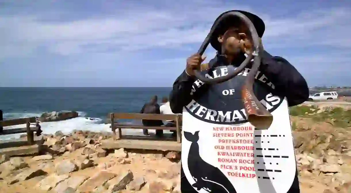 Whale Crier, Hermanus, South Africa