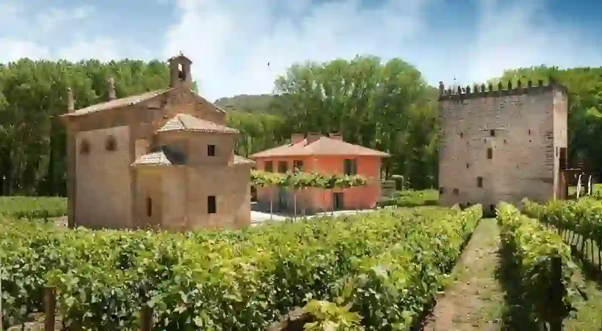 Bodega Señorío de Arínzano, Navarra