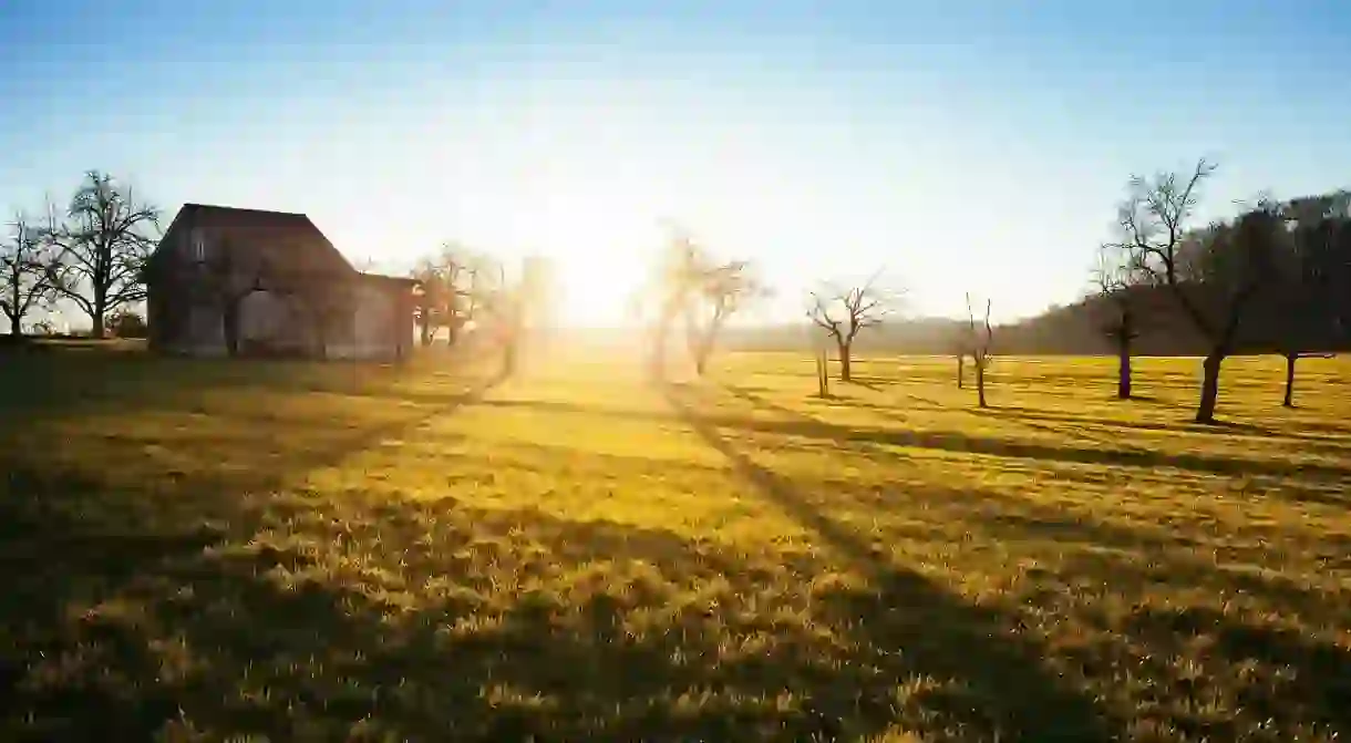 Explore the farms of Catalonia