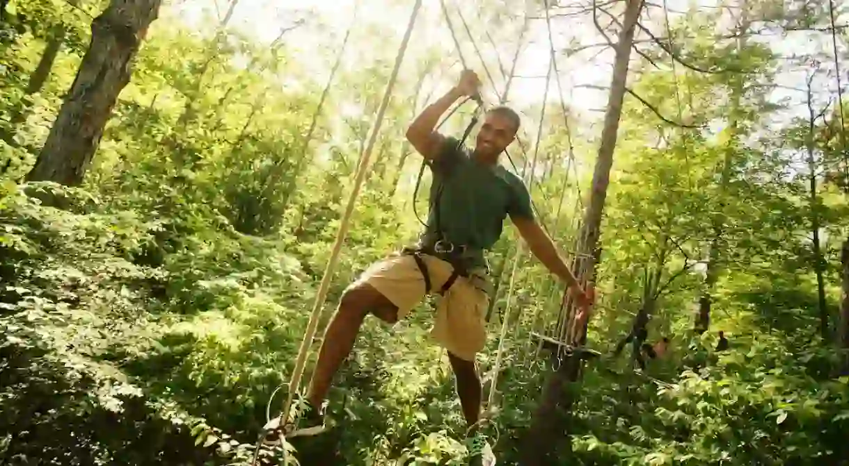 Climb, zip and soar through the canopy in Swope Park