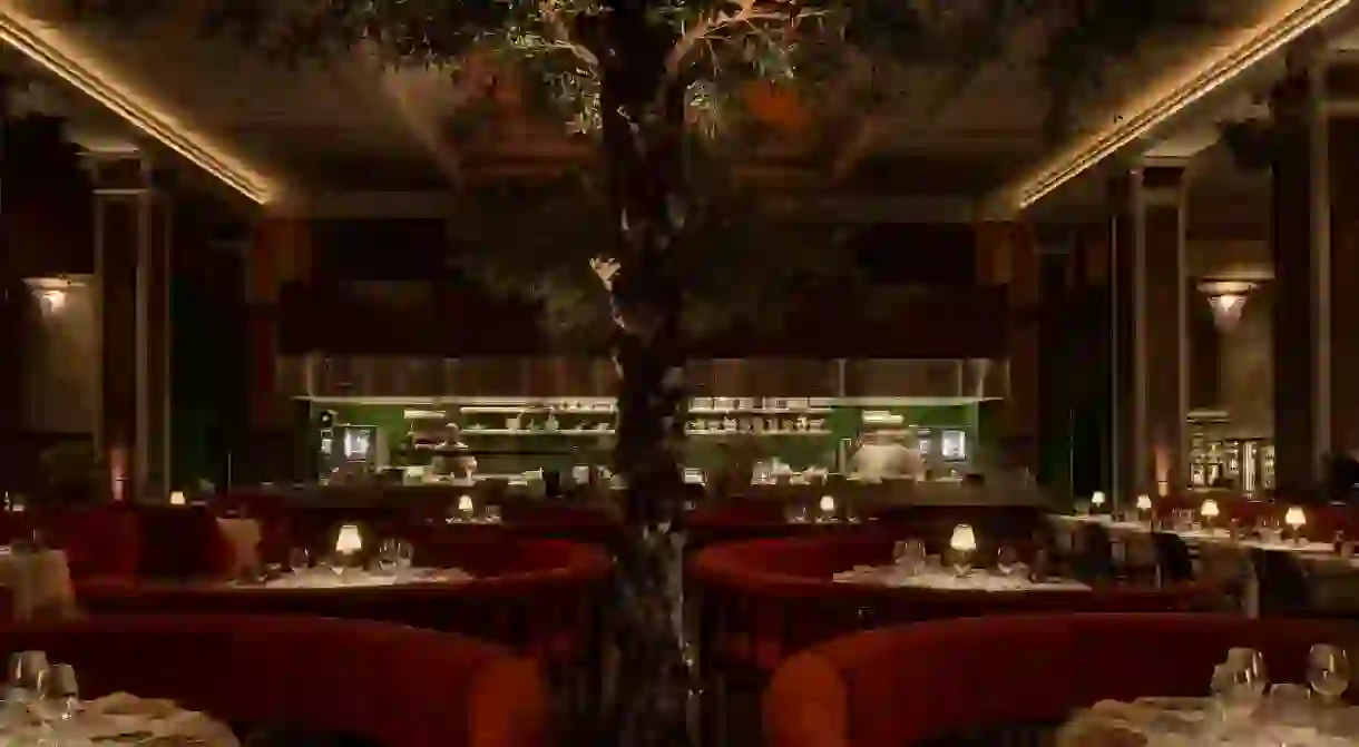 The olive tree stands majestically at the center of LAvventura restaurant