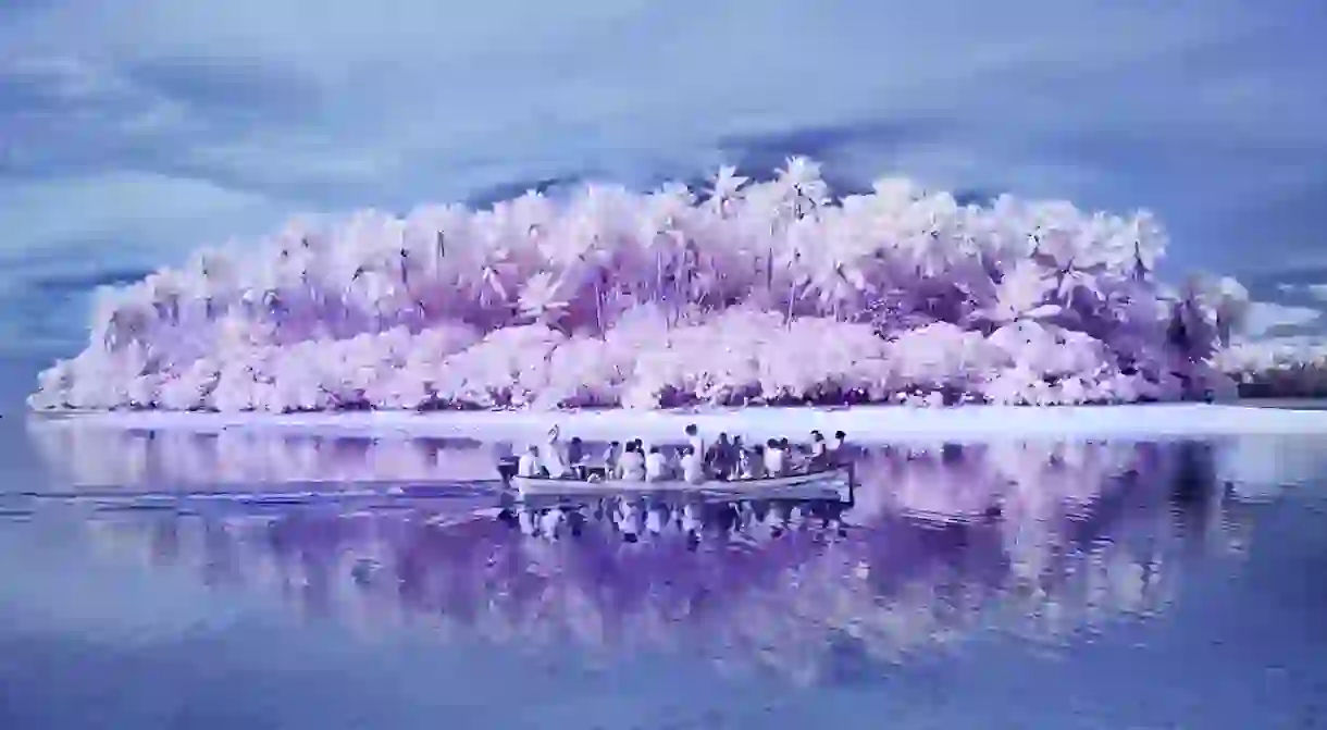 A picture taken with an infrared camera