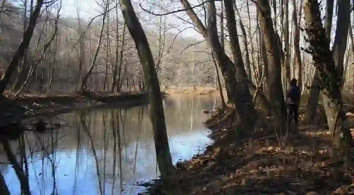 Bloomington Wetlands