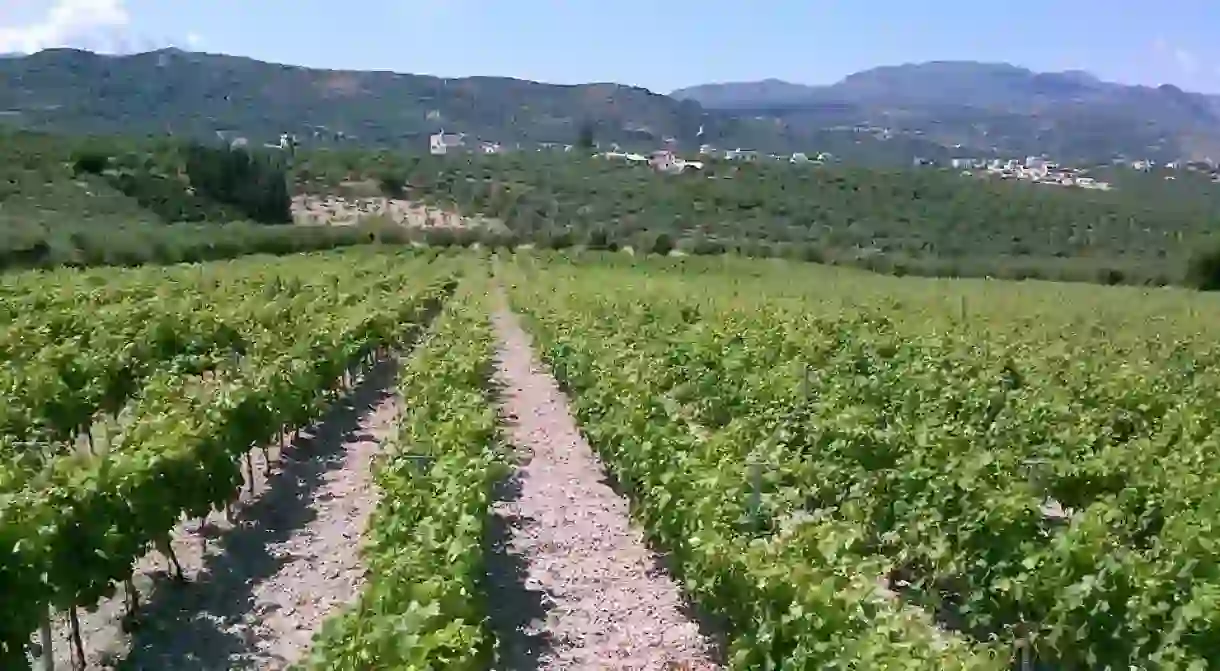 Karavitakis Winery, Pontikiana, Crete