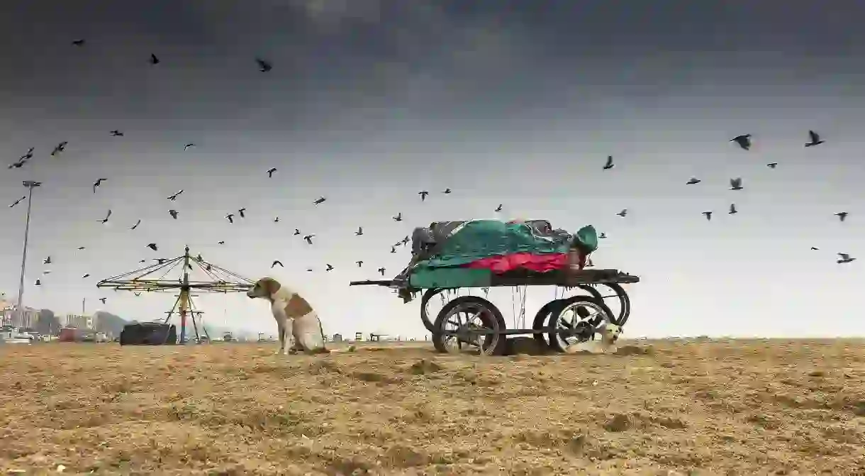 Marina Beach, Chennai