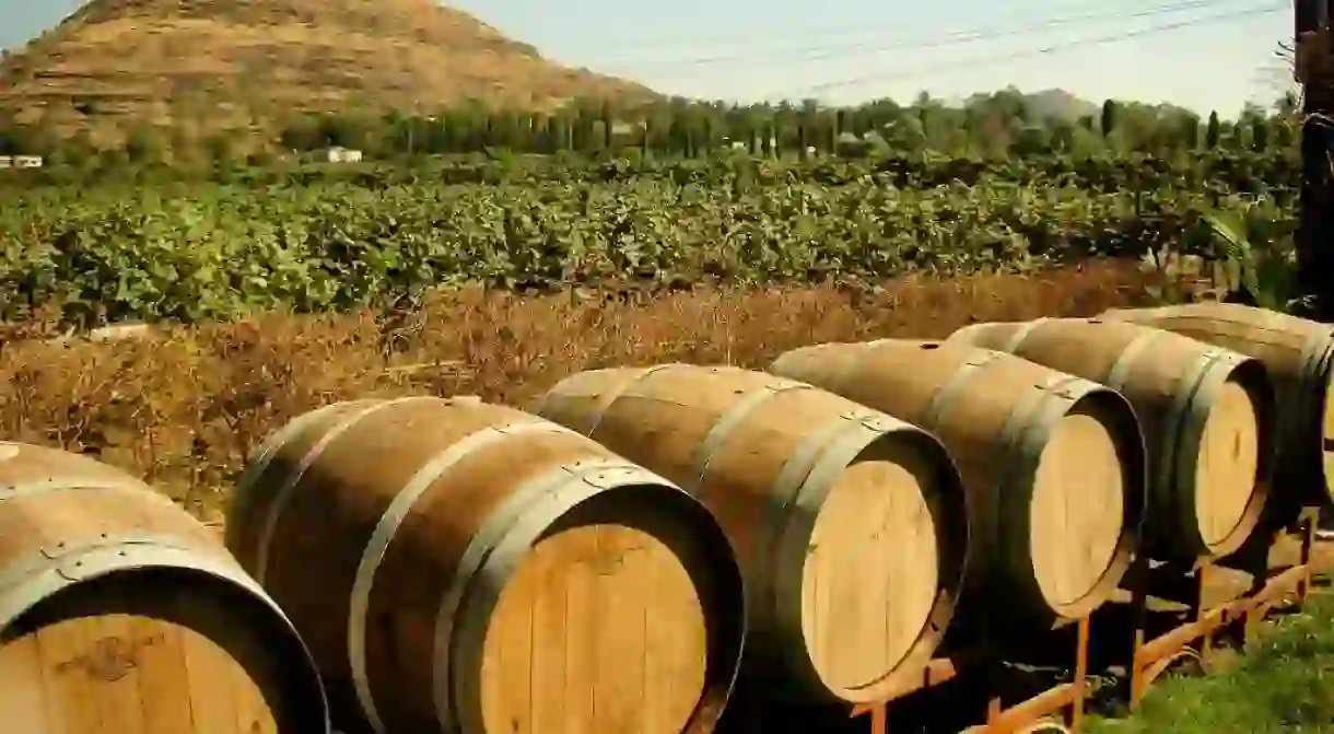 India now has some excellent wineries like the Chateau Indage Vineyards in Pune