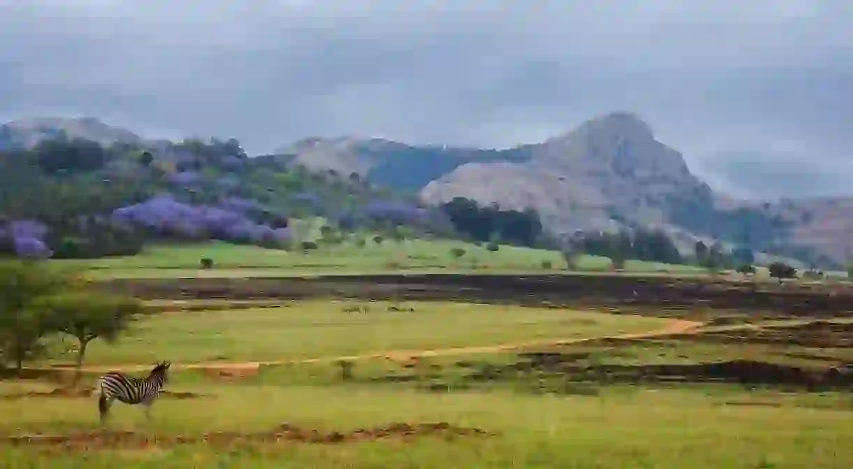 Mantenga Nature Reserve in Swaziland