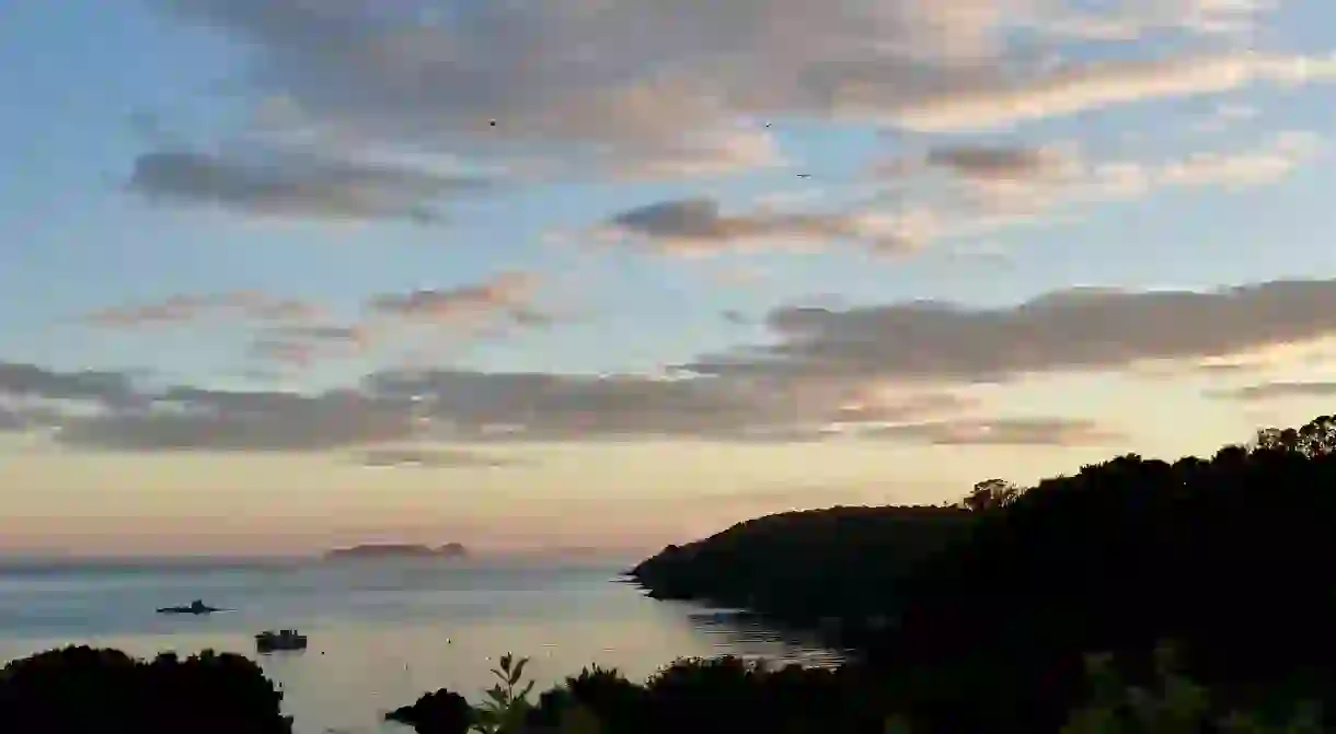 Stewart Island sunrise