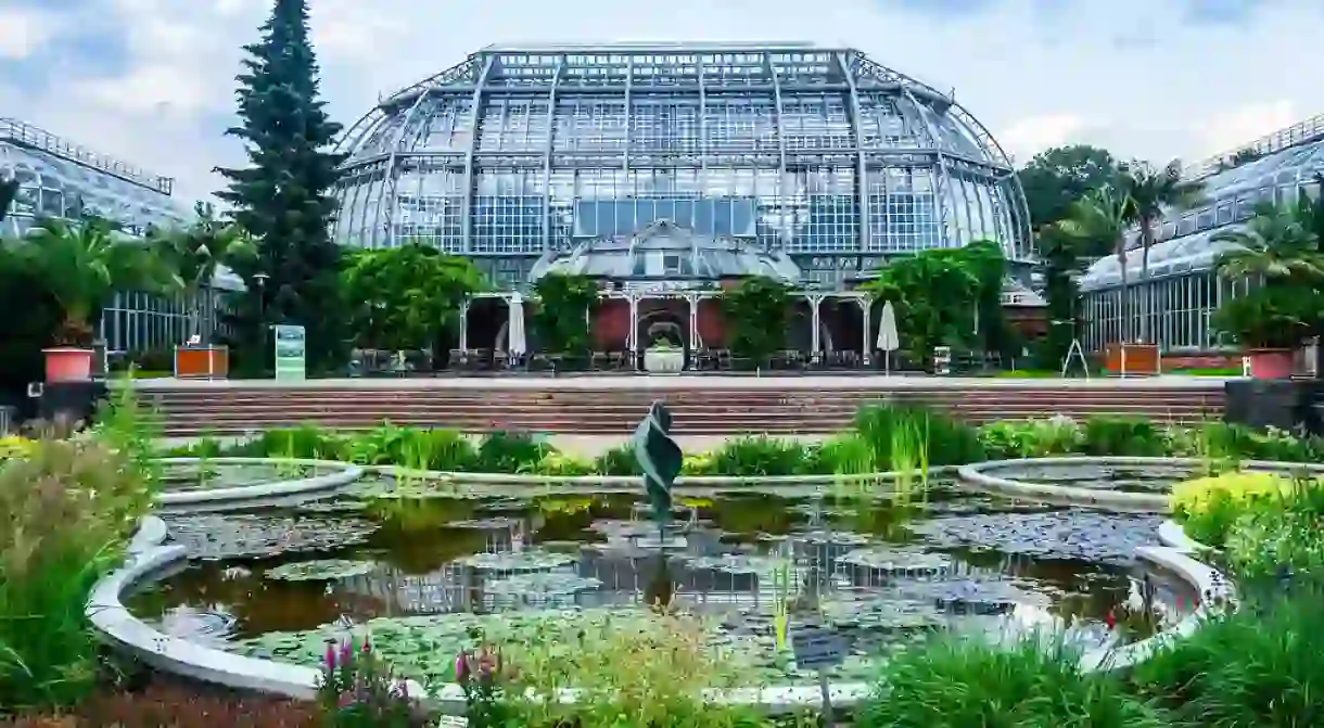 Berlin Botanical Gardens