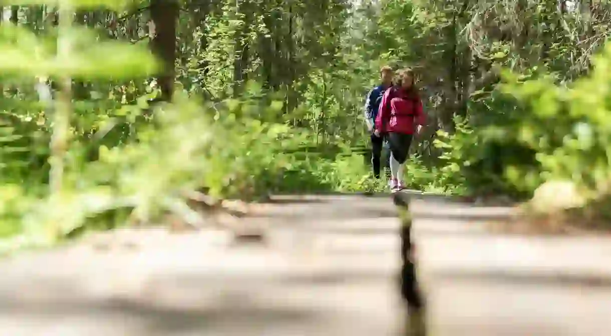 Hiking through the countryside of Finland