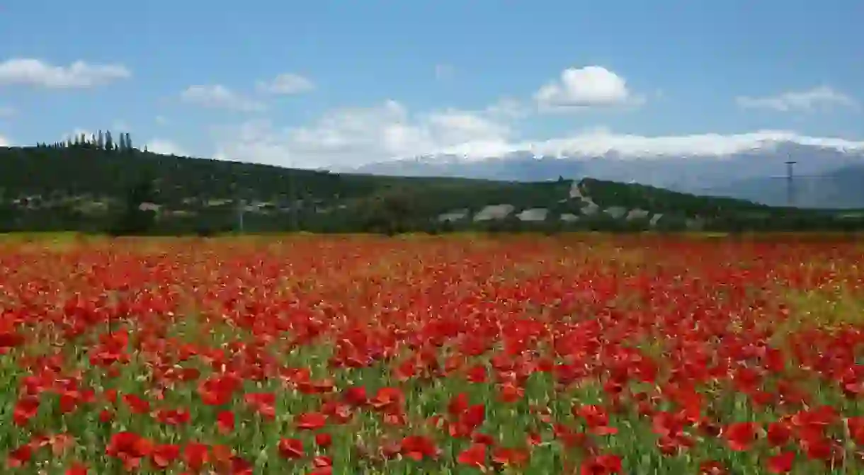 Spring in Spains Sierra Nevada natural park