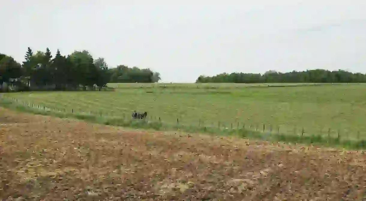 Farmlands of St. Jacobs Country