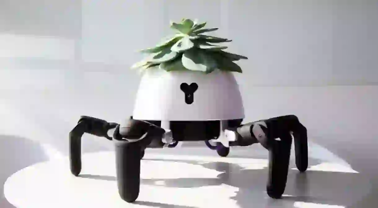 The altered HEXA robot keeps its plant alive by seeking the sun