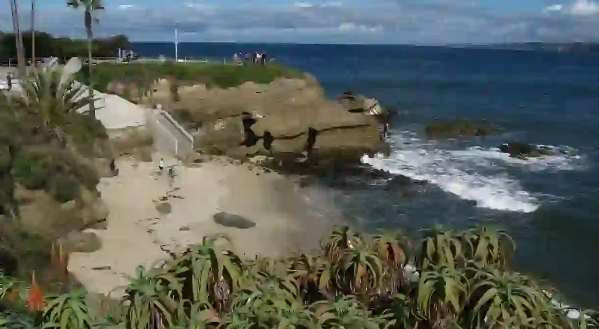 La Jolla is home to seven sea caves, of which only one is accessible via land