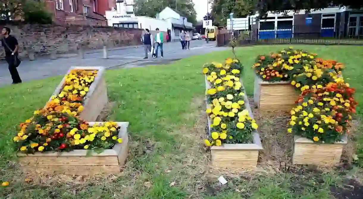 Lark Lane L17 flowerbeds