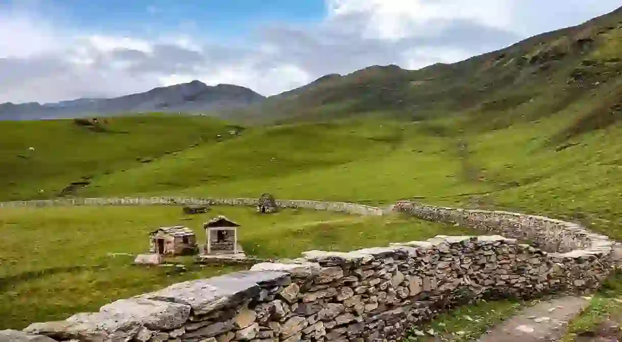 Lush green meadows at Nanda Devi National Park