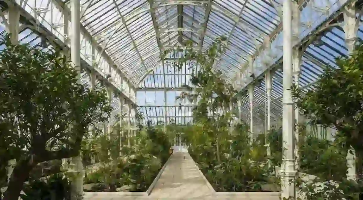 Temperate House is the largest upgrade ever at Kew