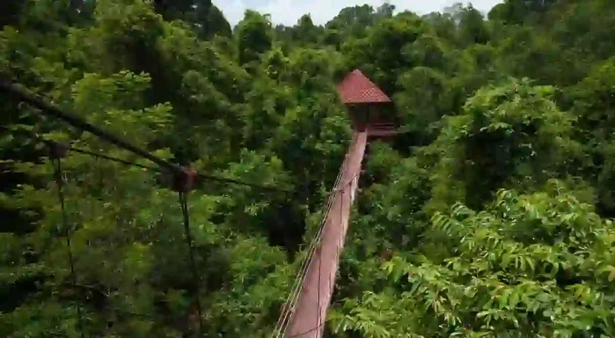 Try the canopy walks in Danum Valley