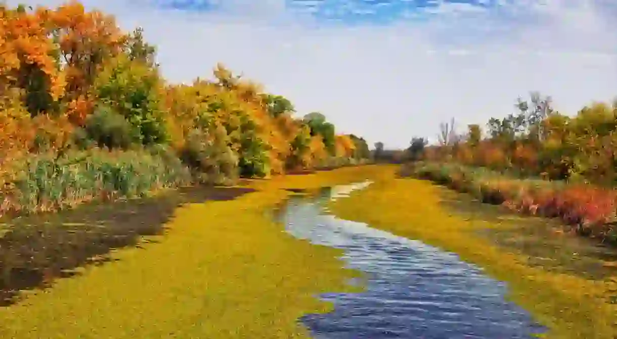 The Emperors Bog, Serbia