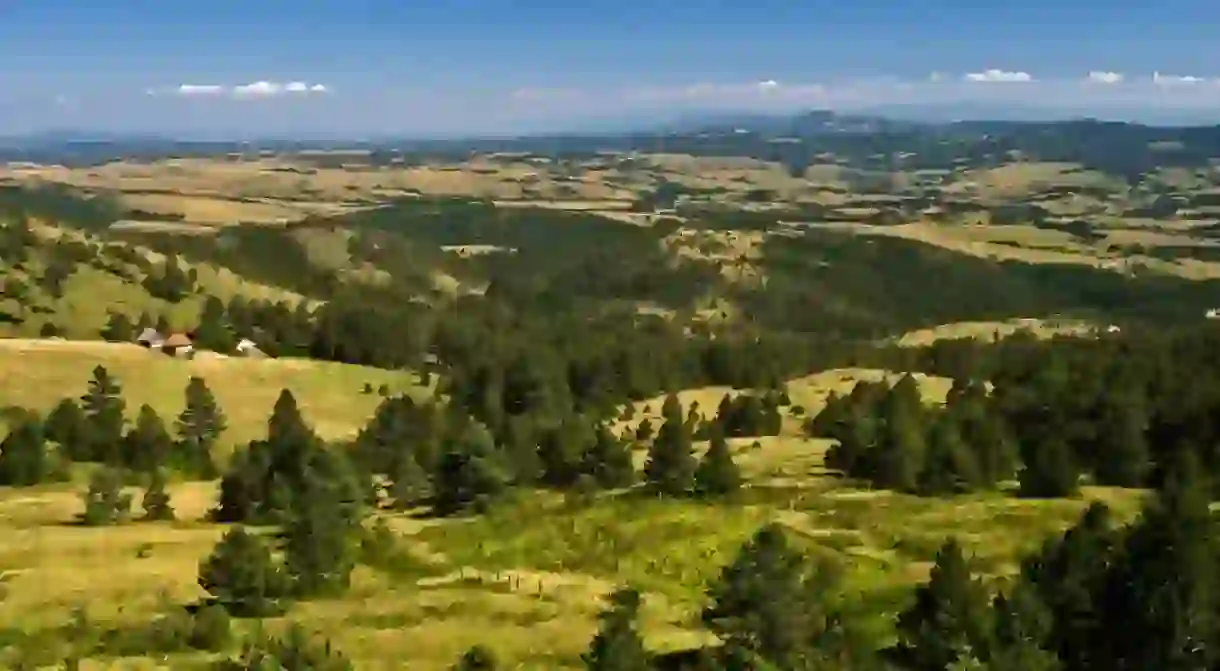 Landscape of Divcibare mountain in west Serbia