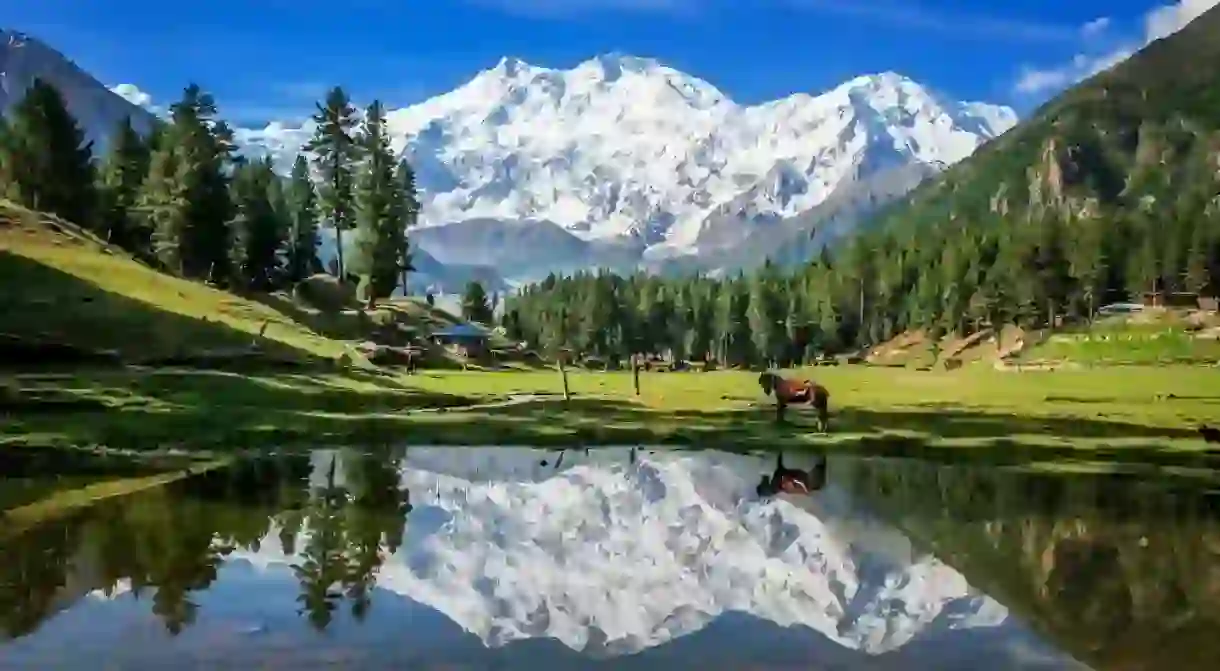 The lush alpine vistas of Fairy Meadows are among the finest in Pakistan