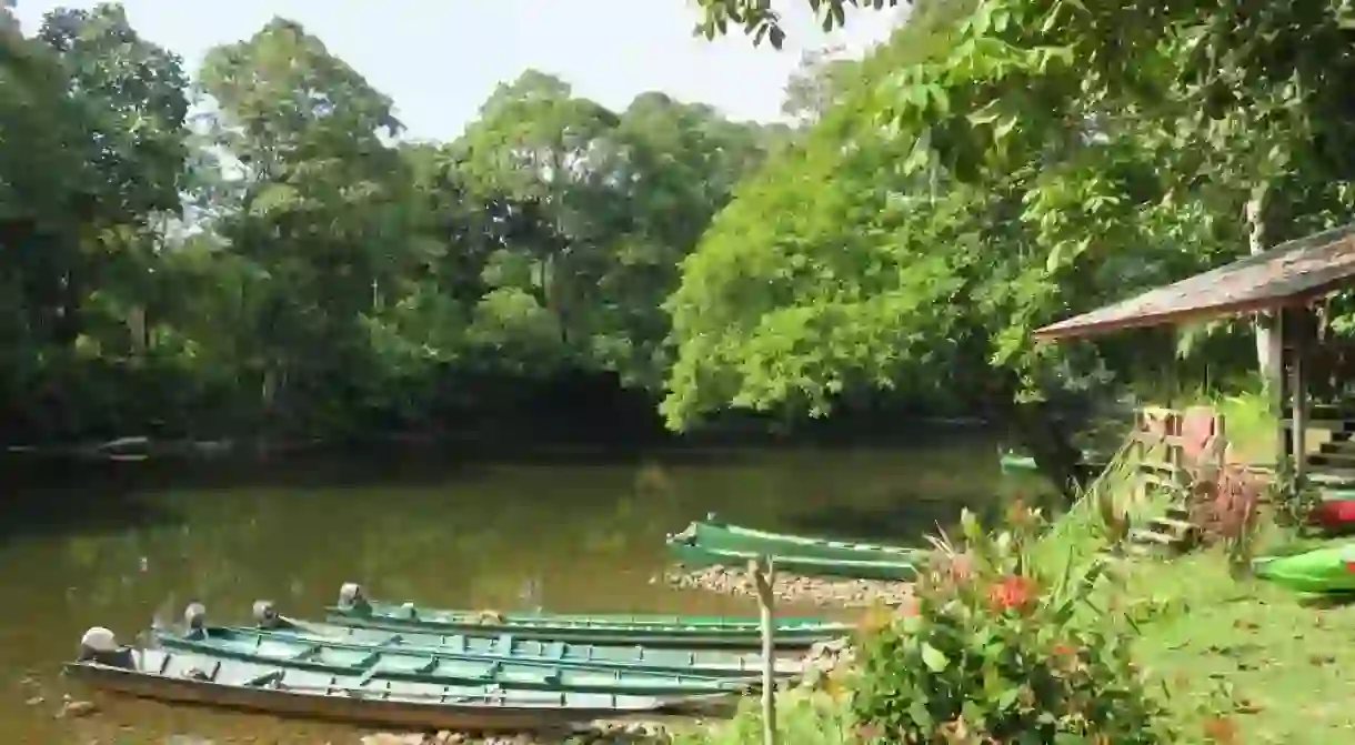 Longboats in Ulu Temburong