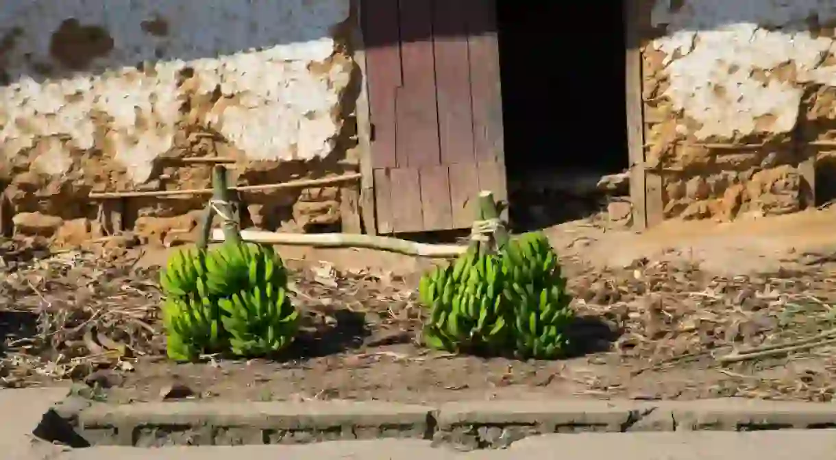 Bunches of bananas for sale at the side of the road, Ranomafana, Madagascar