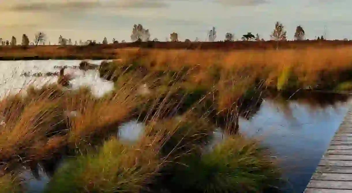 High Fens national park