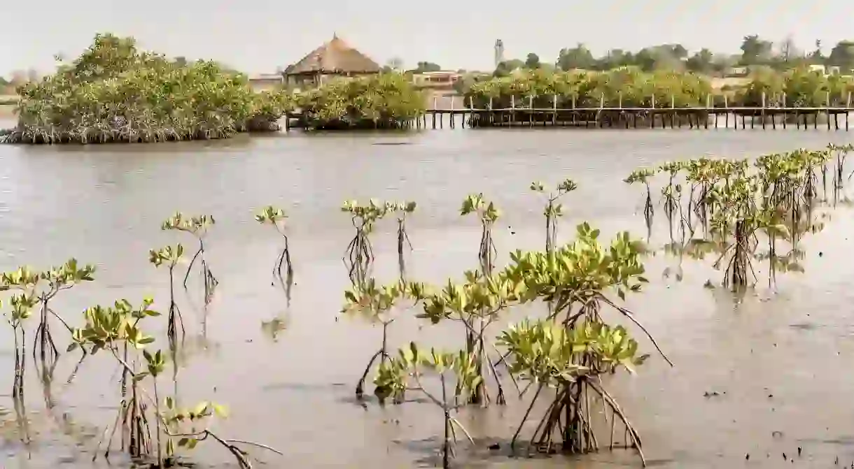 Souimanga Lodge, Fimela Sine, Saloum Delta, Senegal