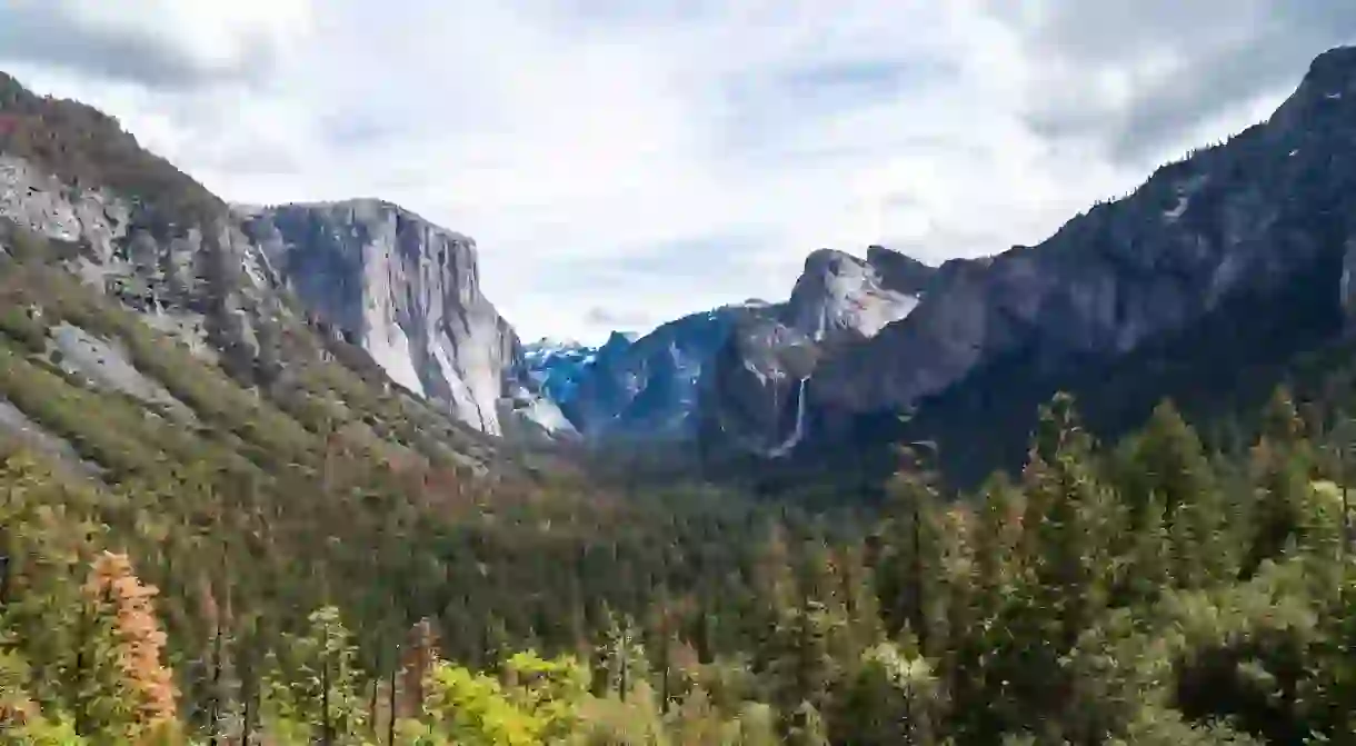 A campsite reservation bot for Yosemite National Park has been posted on GitHub, a code-sharing website