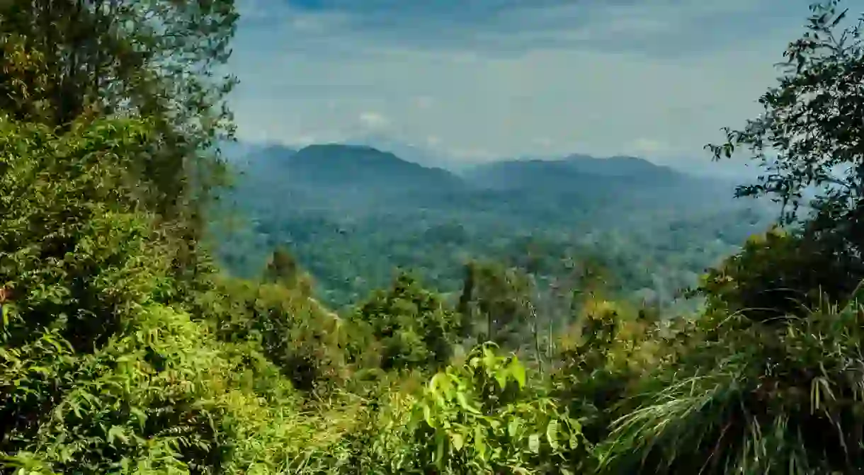 Taman Negara, Malaysia