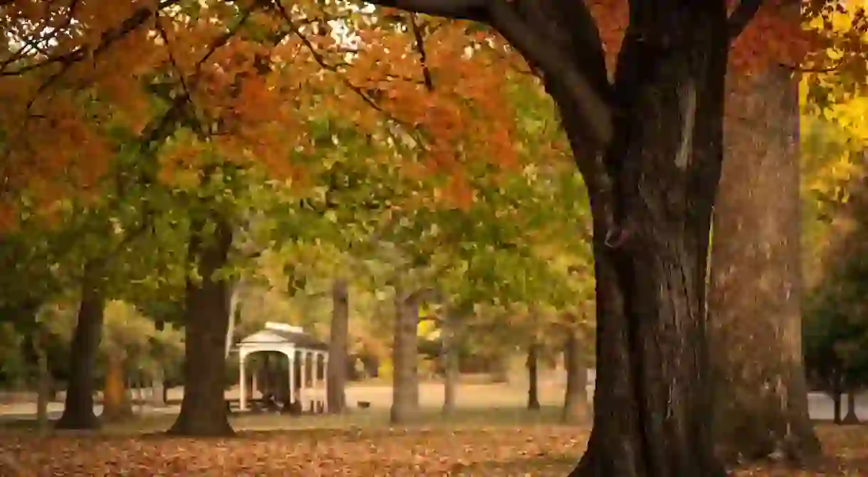 Tower Grove Park has more than 7,000 trees that turn beautiful colors in the fall